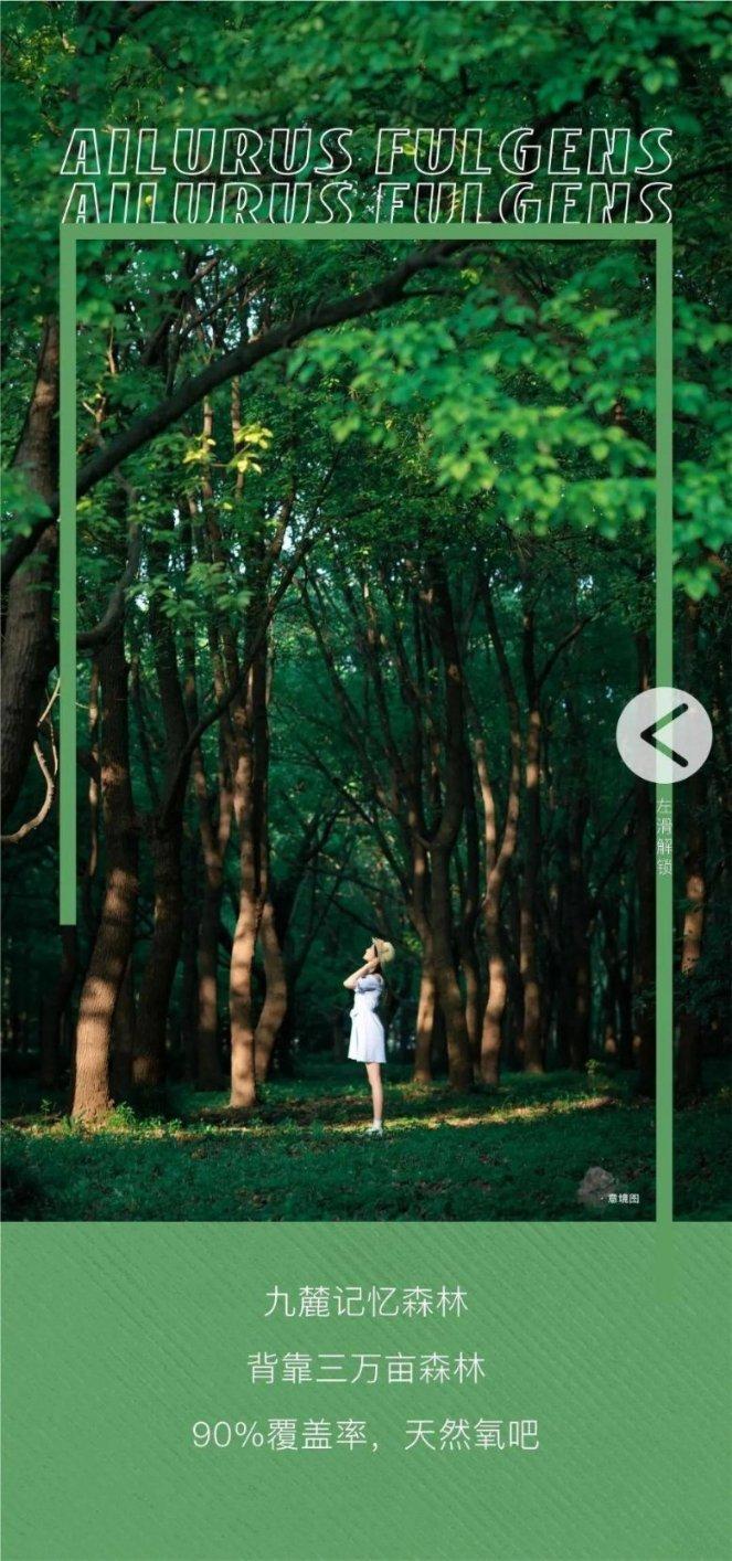 外祖母用英语怎么说?-专业有问必答平台