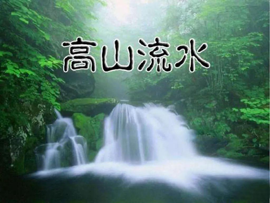 逃离金刚鹦鹉森林